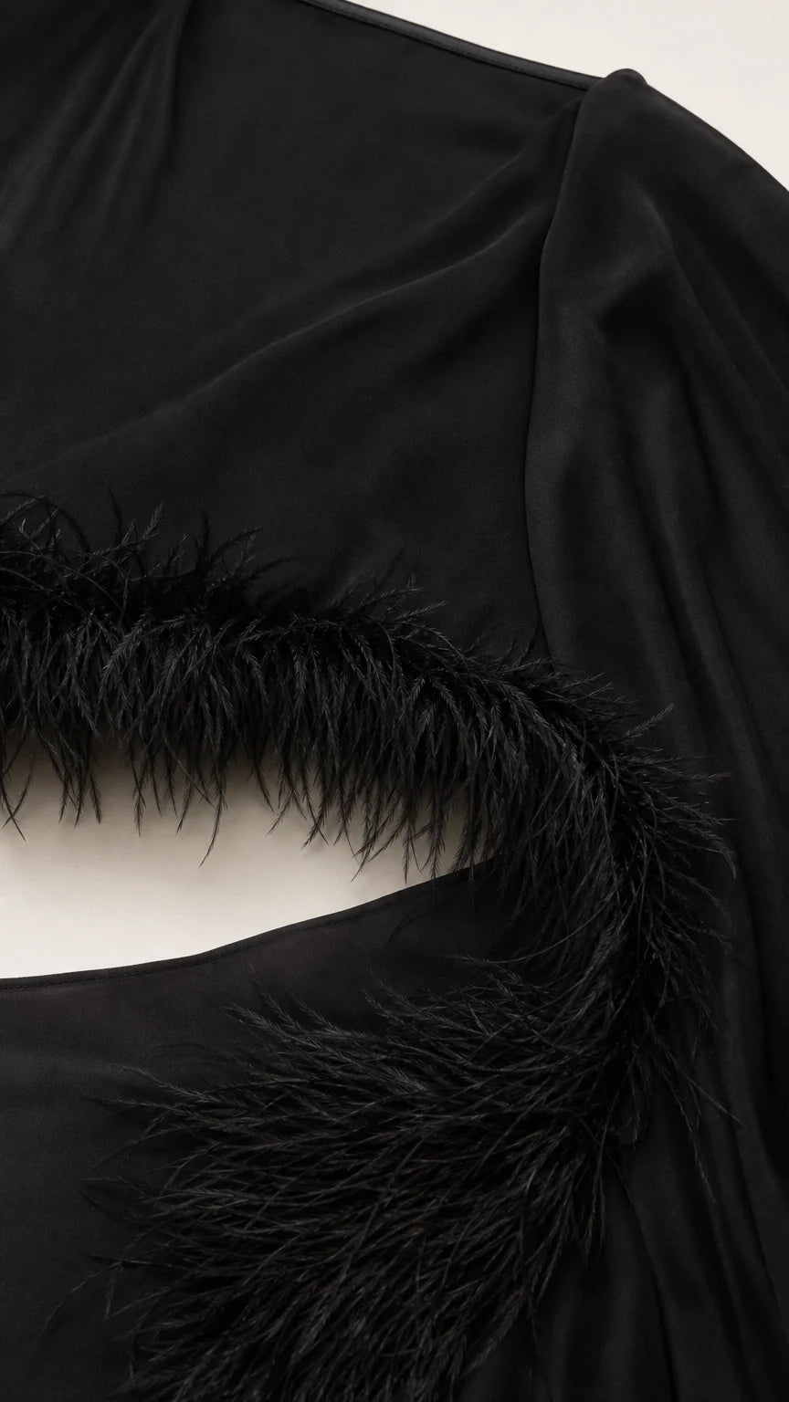 Close-up detail of delicate sheer fabric and plush black feather trim